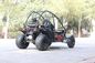 Horizontal Single Cylinder 4 Stroke Double Seat Go Kart With Front / Rear Disc Brake
