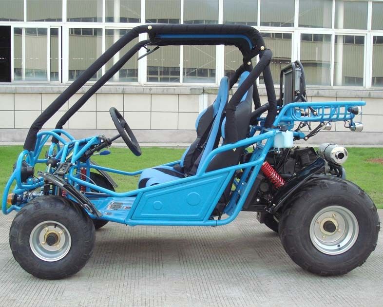 il doppio con errori dei go-kart 250cc un braccio/sceglie A - braccio con l'inverso di CVT/strada Tiro