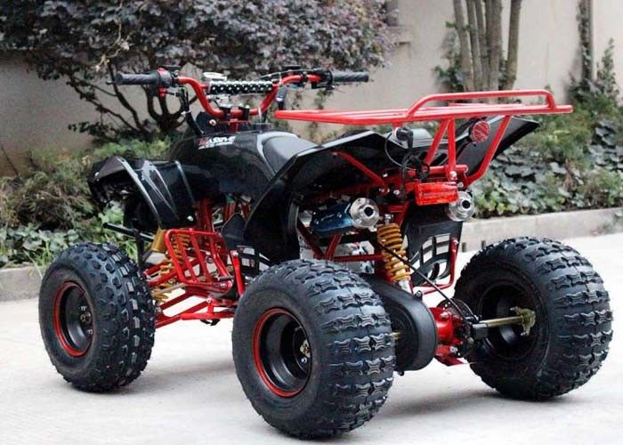 Singoli veicoli a quattro ruote della bici del quadrato del cilindro 125cc Atv 4 x 4 con lo scaffale posteriore/fari luminosi