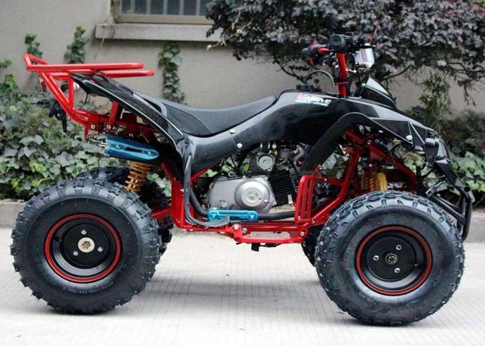 Singoli veicoli a quattro ruote della bici del quadrato del cilindro 125cc Atv 4 x 4 con lo scaffale posteriore/fari luminosi