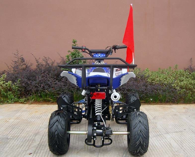 Veicoli a quattro ruote della parte posteriore/anteriori del freno a disco per gli adulti, inizio elettrico del veicolo a quattro ruote 110cc