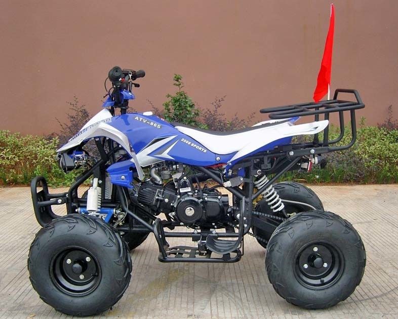 Veicoli a quattro ruote della parte posteriore/anteriori del freno a disco per gli adulti, inizio elettrico del veicolo a quattro ruote 110cc