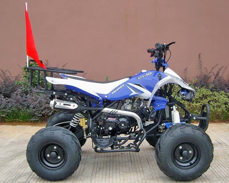 Veicoli a quattro ruote della parte posteriore/anteriori del freno a disco per gli adulti, inizio elettrico del veicolo a quattro ruote 110cc