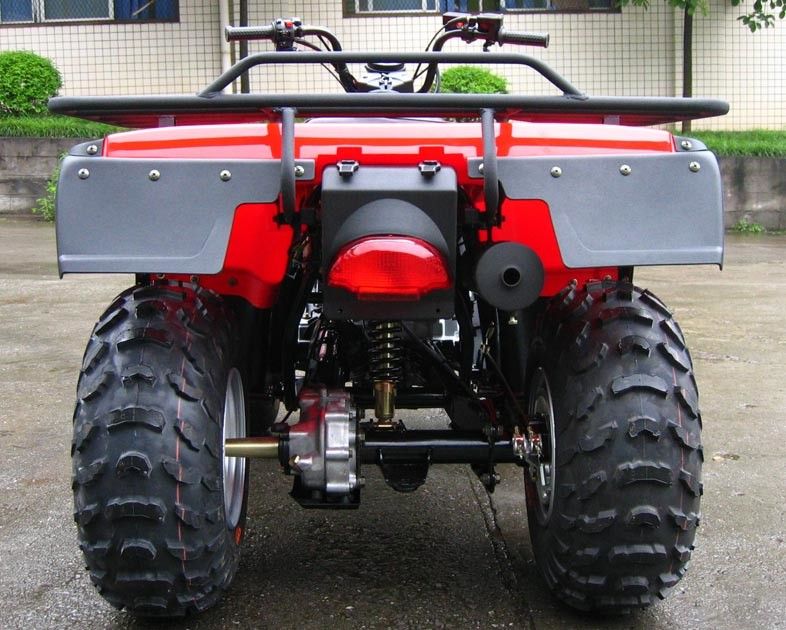 Il motore pratico del veicolo a quattro ruote Bikes 250cc 4 il carraio ATV con il grande azionamento di asse
