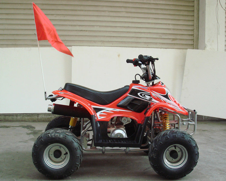 Piccole dimensioni 4 x 4 Atv pratico 70cc 90cc 110cc, veicoli a quattro ruote dei bambini con un azionamento di due ruote