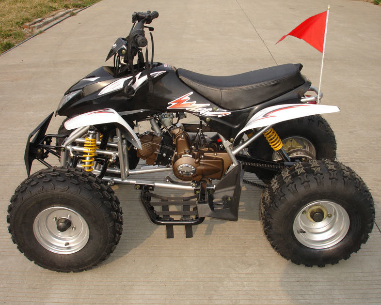 ATV a quattro ruote di taglia media 110cc completamente automatico con il doppio freno a tamburo anteriore inverso