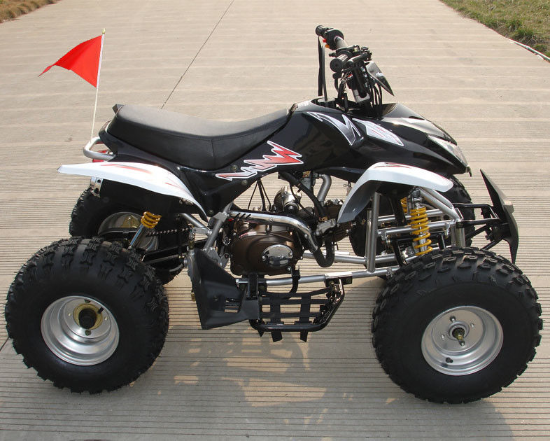 ATV a quattro ruote di taglia media 110cc completamente automatico con il doppio freno a tamburo anteriore inverso
