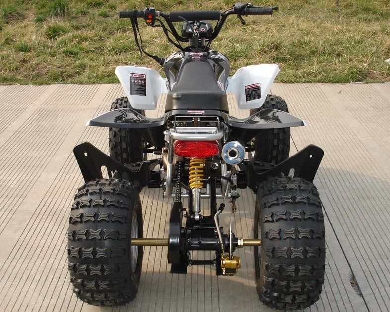 ATV a quattro ruote di taglia media 110cc completamente automatico con il doppio freno a tamburo anteriore inverso