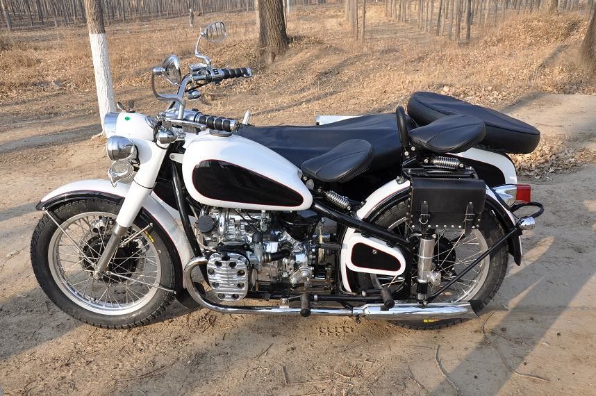 I motocicli ad alta potenza di stile 750cc di Changjiang raddoppiano il motociclo del motore con 3 sedili