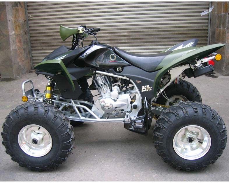 Grande gioventù extra che corre la frizione elettrica del manuale di inizio di CDI della bici del quadrato di Atv 250cc Atv