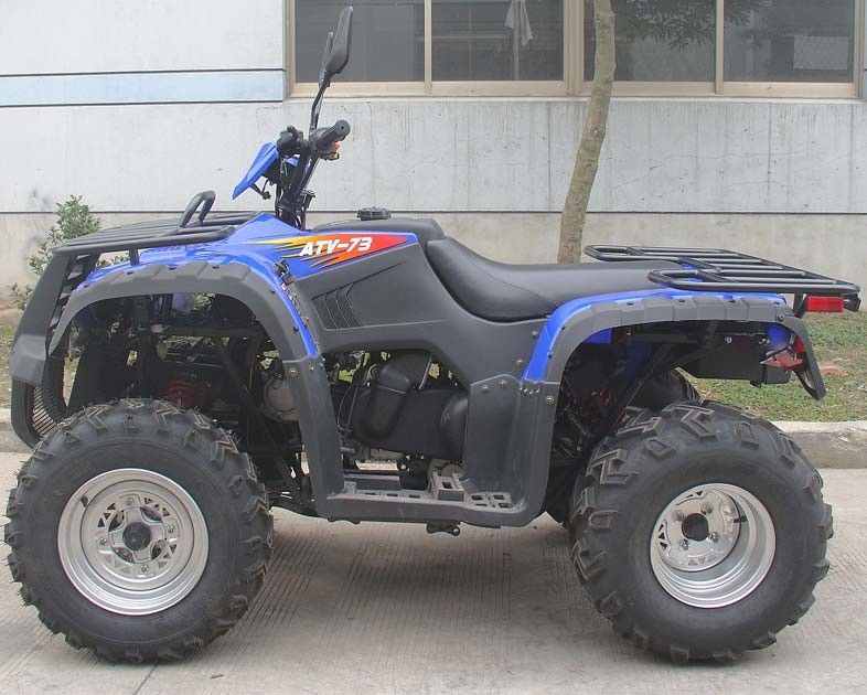 Veicoli a quattro ruote completamente automatico 2 * di inverso 300cc due Seater azionamento di asse raffreddato ad acqua 4