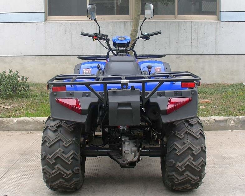 Veicoli a quattro ruote completamente automatico 2 * di inverso 300cc due Seater azionamento di asse raffreddato ad acqua 4
