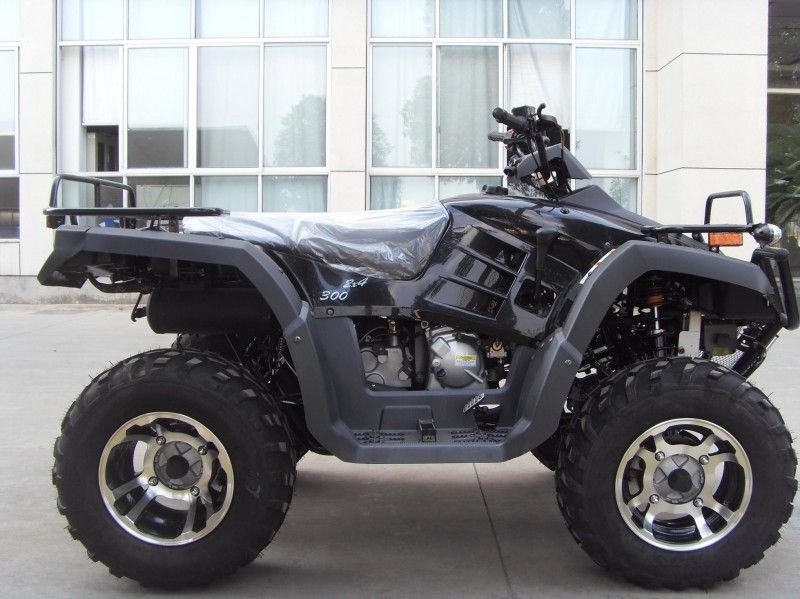 300CC veicolo utilitario Atv 40.3mile/H con 2 sedili, doppio Un-braccio/singolo Un-braccio