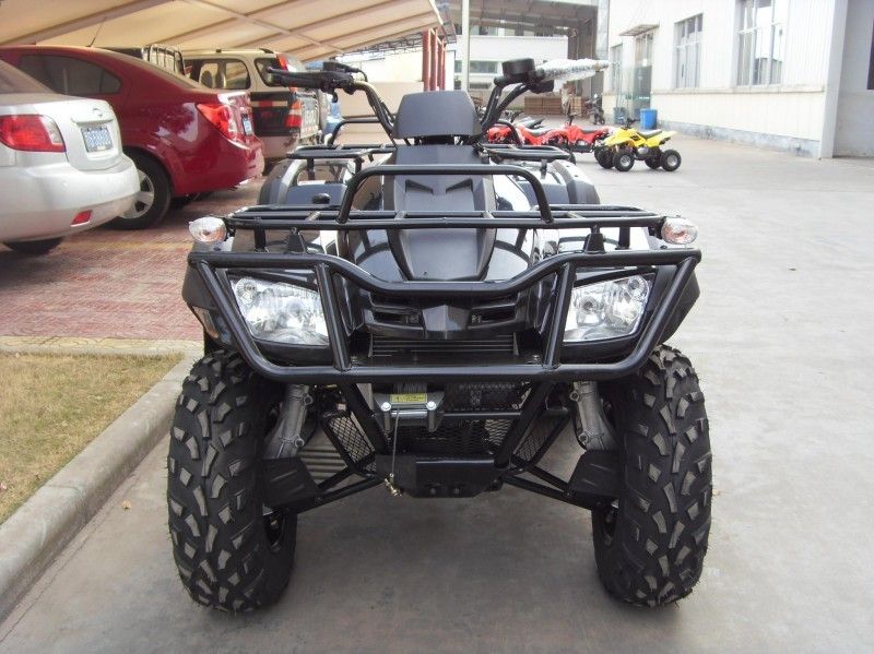 300CC veicolo utilitario Atv 40.3mile/H con 2 sedili, doppio Un-braccio/singolo Un-braccio