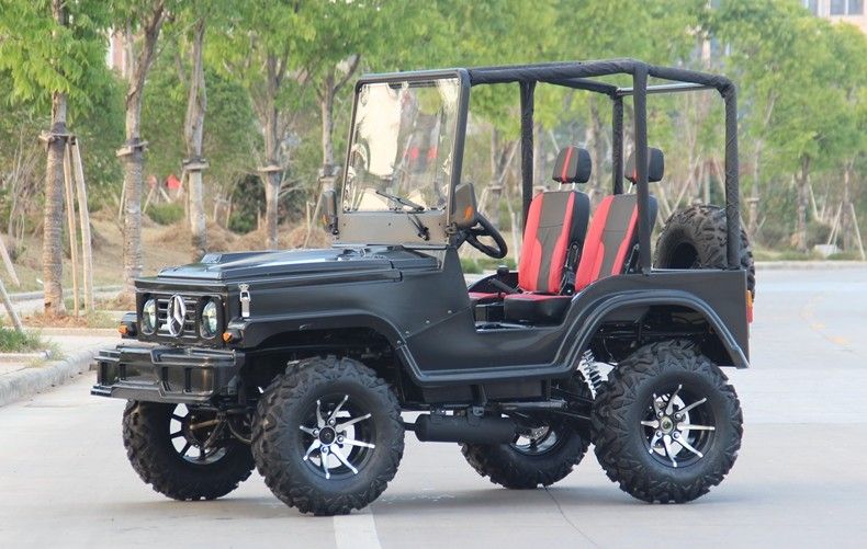 Mini jeep 4WD che corre il carrozzino dei go-kart di sport di ATV per l'adulto, go-kart 300cc