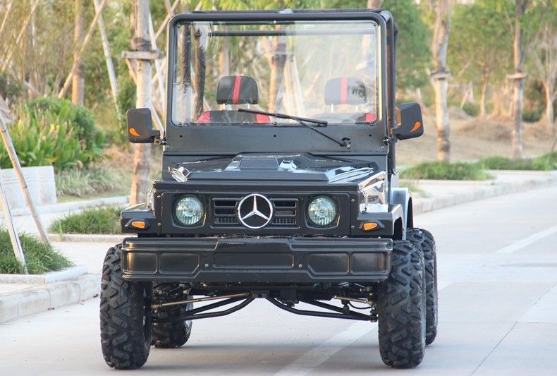 Mini jeep 4WD che corre il carrozzino dei go-kart di sport di ATV per l'adulto, go-kart 300cc