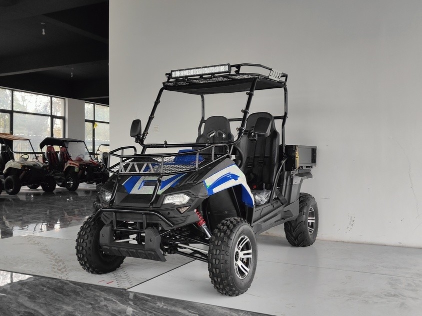 Veicoli utilitari a gas 200EUX (EFI) Utv CTV automatico con inversione verso il basso 32 gradi