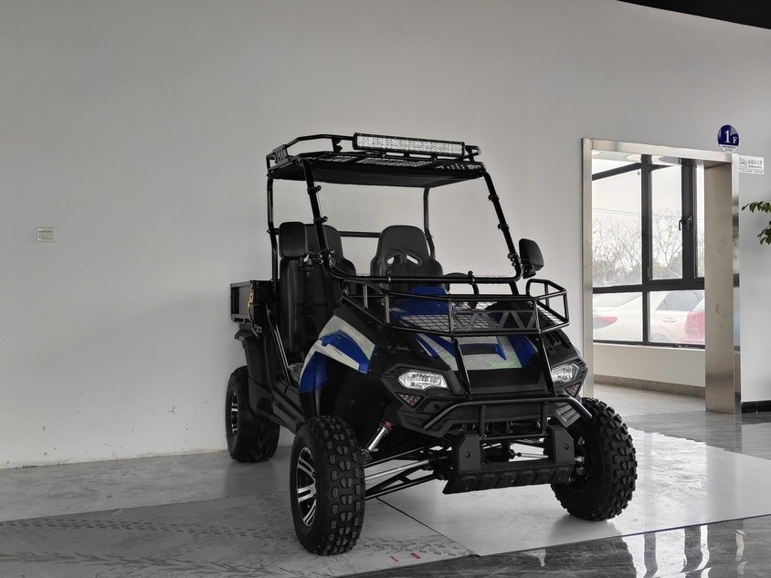 Veicoli utilitari a gas 200EUX (EFI) Utv CTV automatico con inversione verso il basso 32 gradi