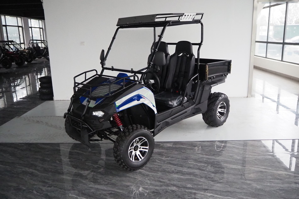 Veicoli utilitari a gas 200EUX (EFI) Utv CTV automatico con inversione verso il basso 32 gradi