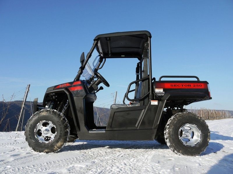 Veicoli utilitari ribaltabili del gas dell'argano del caricatore di UTV 250 con Efi - rosso, Windsheild e sbarra del rimorchio