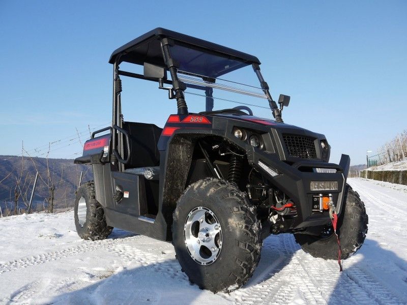 Veicoli utilitari ribaltabili del gas dell'argano del caricatore di UTV 250 con Efi - rosso, Windsheild e sbarra del rimorchio