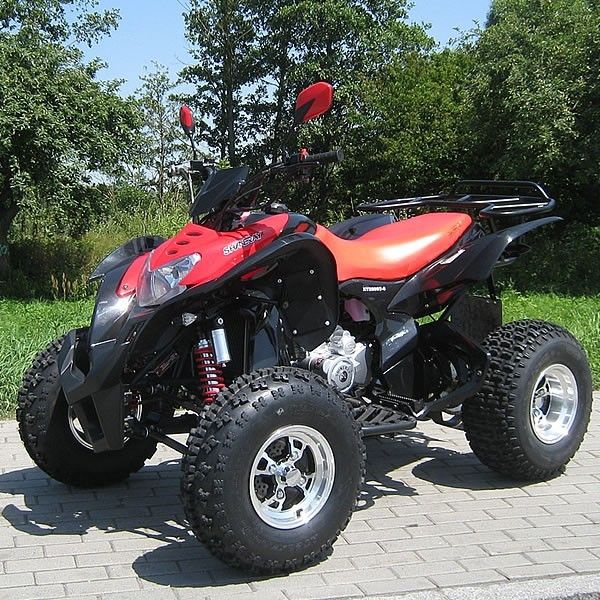 250cc Atv a quattro ruote extra grande con il nero elettrico del sistema di inizio