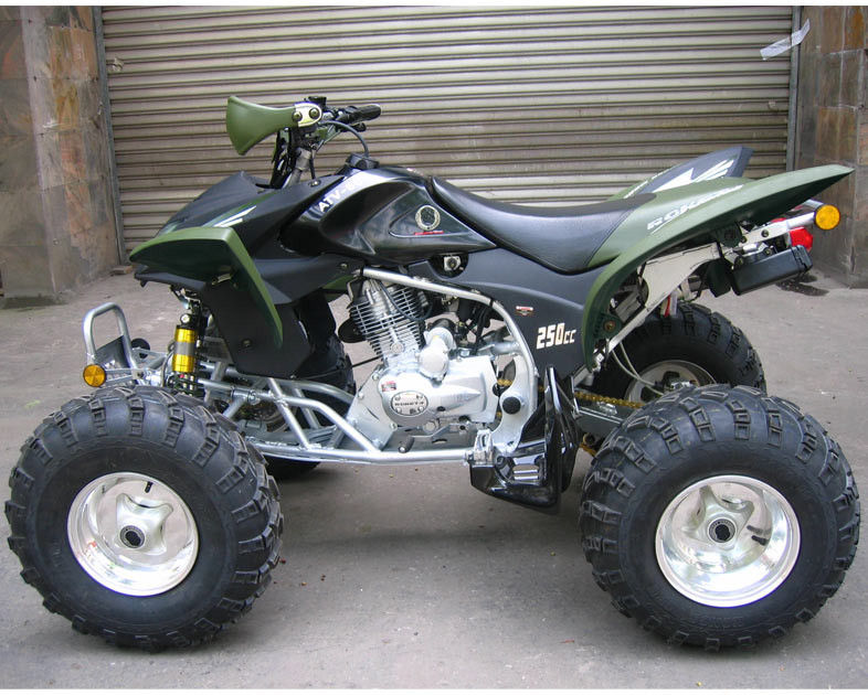 Gioventù ATV di corsa, velocità massima 46.6mile/h del sentiero forestale 250cc e dell'azienda agricola