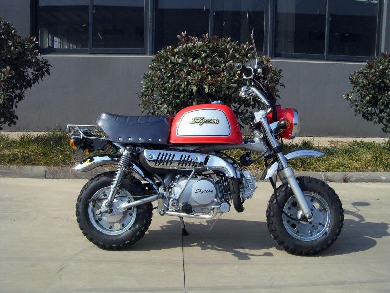 4-Gear motociclo internazionale del motore 125cc per gli adulti con cuscinetto a rulli affusolato
