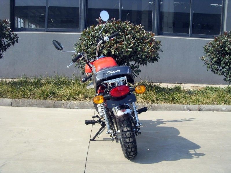 4-Gear motociclo internazionale del motore 125cc per gli adulti con cuscinetto a rulli affusolato