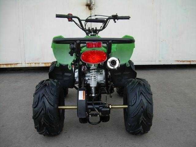 gioventù 110CC che corre 4 carrai per il sentiero forestale, velocità massima 50km/h