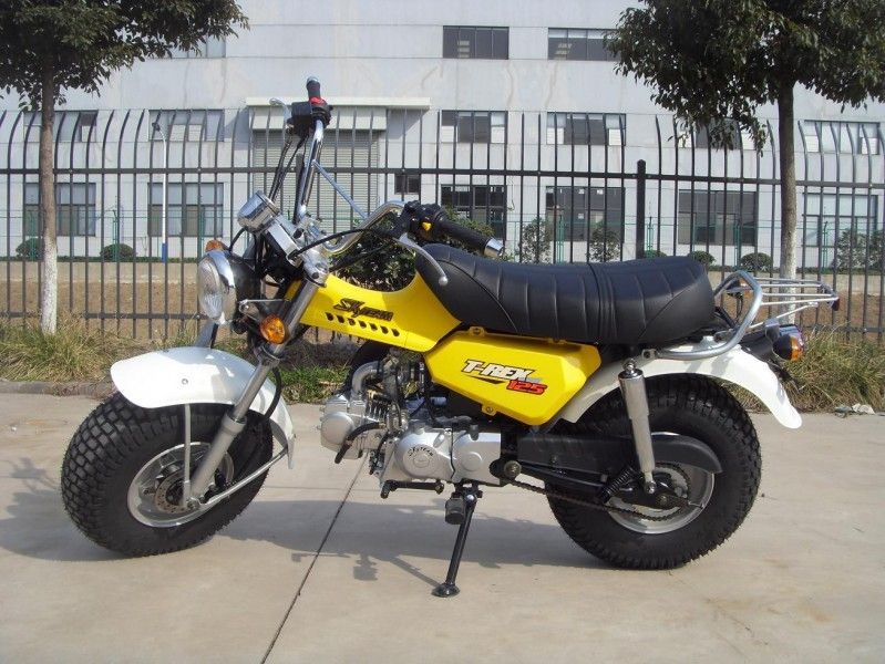 Skyteam T - mini bici 125cc, motociclo di Rex 125 di 2 persone con un ingranaggio di 4 velocità