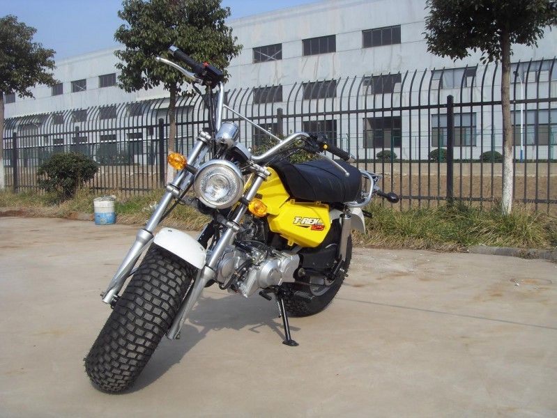 Skyteam T - mini bici 125cc, motociclo di Rex 125 di 2 persone con un ingranaggio di 4 velocità