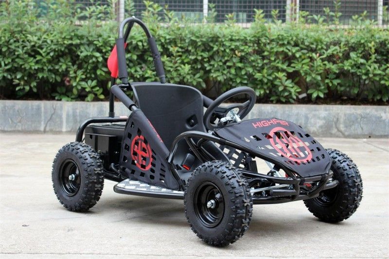 il carrozzino per due persone dei go-kart 35km/H, 1000w scherza i go-kart EPA di Off Road approvati