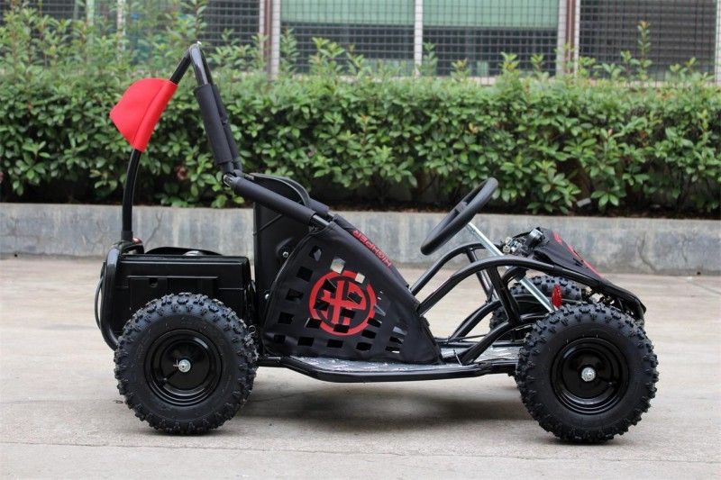il carrozzino per due persone dei go-kart 35km/H, 1000w scherza i go-kart EPA di Off Road approvati