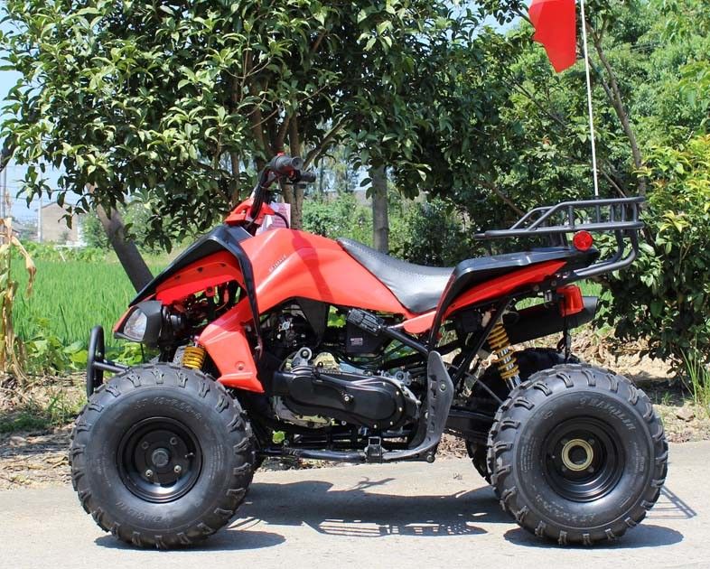 gioventù raffreddata ad acqua 13.9HP che corre il carraio di ATV 200cc 4 con il freno a disco posteriore