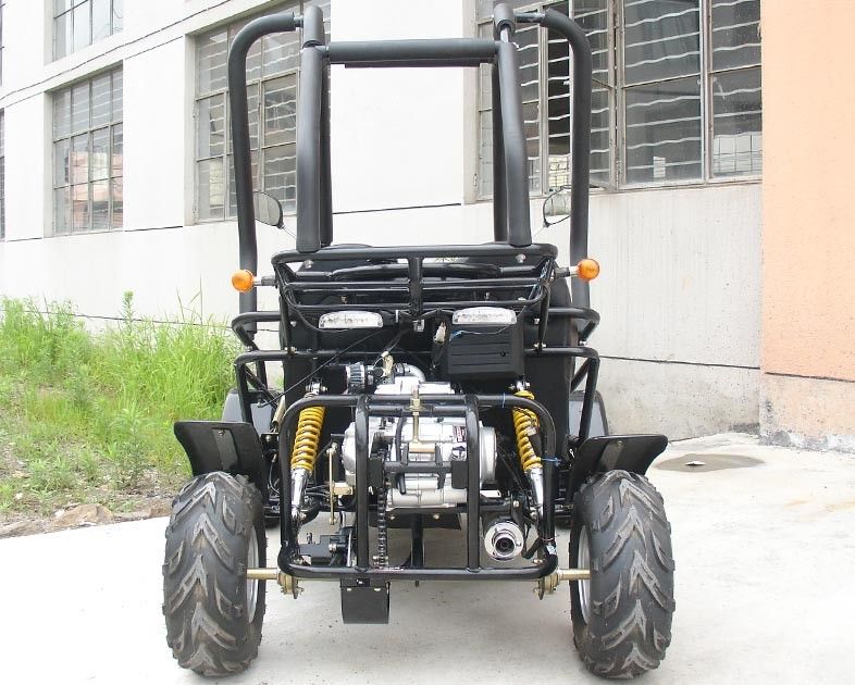 Piccolo 3 carrozzino due Seater Atv dei go-kart di velocità 110cc con l'inizio di CDI Electirc