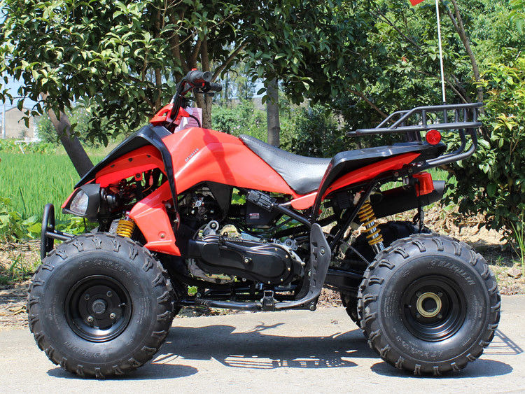 200cc ATV a quattro ruote, 8