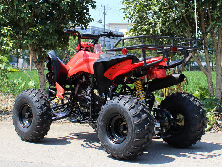 200cc ATV a quattro ruote, 8