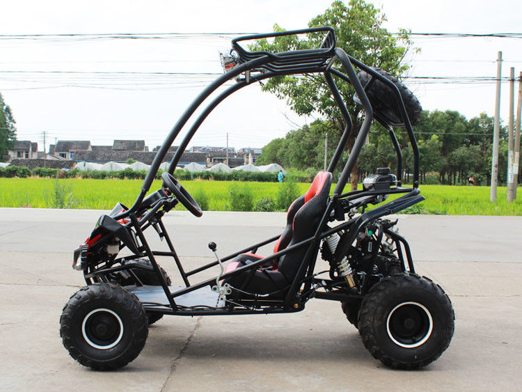 125cc scelgono i go-kart 4 Storke 154FMI di Seater del cilindro 2 con il carro armato 3L
