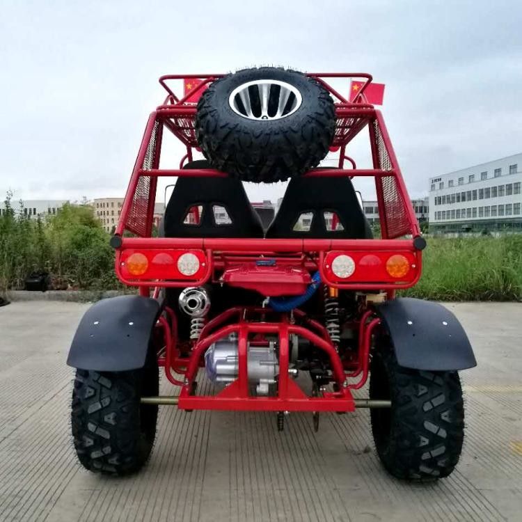 raffreddato ad acqua con errori dei grandi go-kart 250cc con la sospensione dell'indipendente di 4 ruote