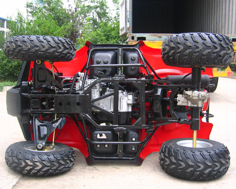 grande Atv retromarcia della bici del quadrato di 260cc dentro la trasmissione con olio raffreddato