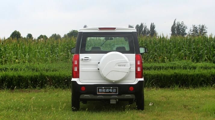 Una mini dimensione elettrica 1500w di quattro delle ruote carretti di golf con più della gamma di 500km