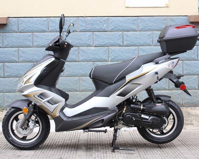 motorino 12