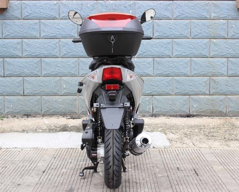 motorino 12