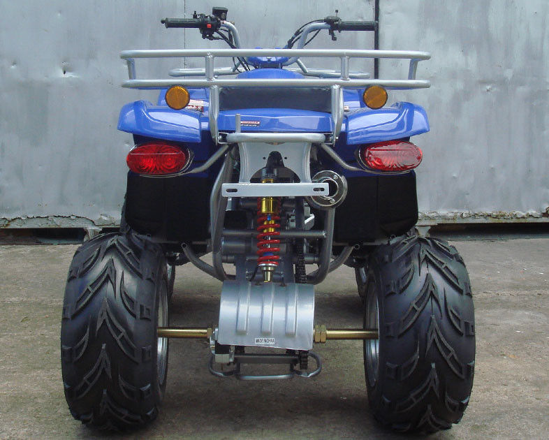 Grande bici automatica 10