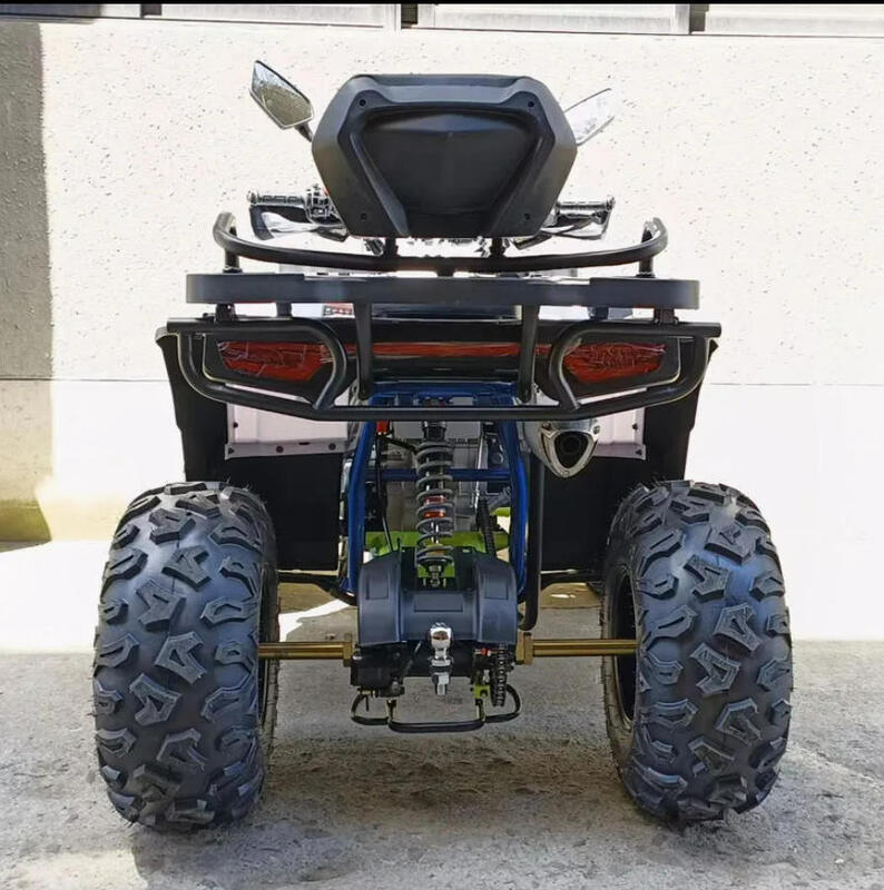 Vendita Calda ATV 200cc 300cc Quad Bike Popolare Motore Cinese Potente Ruote Freno Trasmissione Automatica