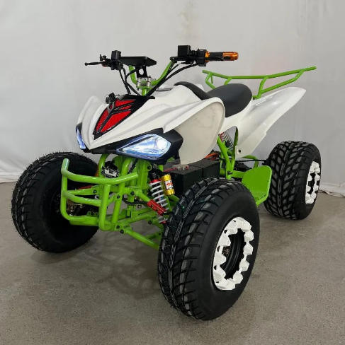 72V 2000W ATV elettrico, marchio cinese, ruota da 10 pollici, azionamento a trazione, veicolo utilitario fuoristrada certificato CE