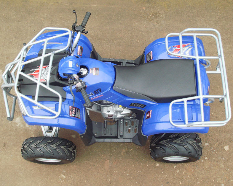 200c grande gioventù ATV di corsa 10