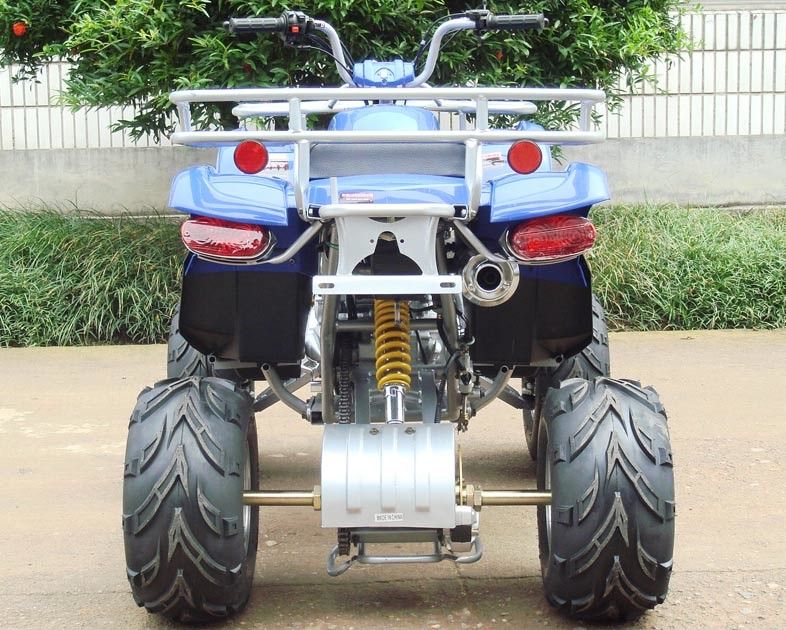 200c grande gioventù ATV di corsa 10
