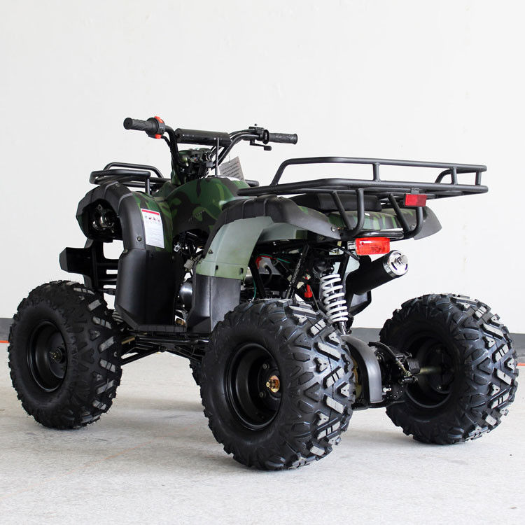 110cc tipo orizzontale capacità di corsa del carro armato della trasmissione 7L Fule della gioventù ATV CVT